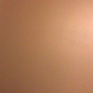 Meet your Posher, Narsha